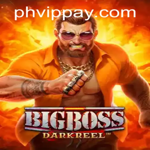 BigBoss: A Comprehensive Insight into the Game with PHVIP Strategies